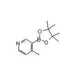 4-Methylpyridine-3-boronic Acid Pinacol Ester