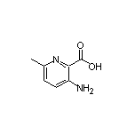 3-Amino-6-methylpyridine-2-carboxylic Acid