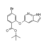 tert-Butyl 2-[(1H-Pyrrolo[2,3-b]pyridin-5-yl)oxy]-4-bromobenzoate