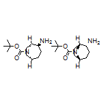 endo-8-Boc-2-amino-8-azabicyclo[3.2.1]octane