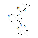 1-Boc-6-azaindole-3-boronic Acid Pinacol Ester