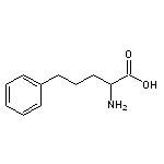 2-Amino-5-phenylpentanoic acid