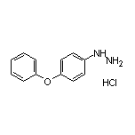 (4-Phenoxyphenyl)hydrazine Hydrochloride