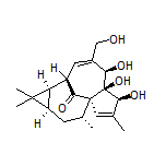 Ingenol