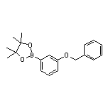 3-(Benzyloxy)phenylboronic Acid Pinacol Ester