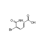 5-Bromo-6-oxo-1,6-dihydropyridine-2-carboxylic Acid