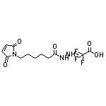 6-(2,5-Dioxo-2,5-dihydro-1H-pyrrol-1-yl)hexanehydrazide Trifluoroacetate