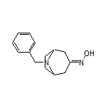 8-Benzyl-8-azabicyclo[3.2.1]octan-3-one Oxime