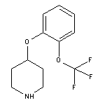 4-[2-(Trifluoromethoxy)Phenoxy]Piperidine