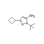 5-Amino-1-(tert-butyl)-3-cyclobutylpyrazole