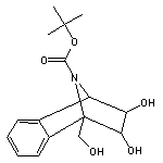 Tert-Butyl 2,3-Dihydroxy-1-(Hydroxymethyl)-1,2,3,4-Tetrahydro-1,4-Epiminonaphthalene-9-Carboxylate