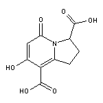 7-Hydroxy-5-Oxo-1,2,3,5-Tetrahydroindolizine-3,8-Dicarboxylic Acid