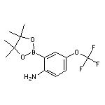 2-(4,4,5,5-tetramethyl-1,3,2-dioxaborolan-2-yl)-4-(trifluoromethoxy)benzenamine