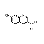 7-Chloroquinoline-3-carboxylic Acid