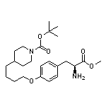 Methyl (S)-2-Amino-3-[4-[4-(1-Boc-4-piperidyl)butoxy]phenyl]propanoate