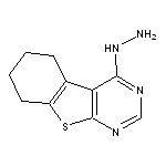 (5,6,7,8-Tetrahydro-benzo[4,5]thieno[2,3-d]pyrimidin-4-yl)-hydrazine