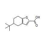 5-(tert-Butyl)-4,5,6,7-tetrahydrobenzothiophene-2-carboxylic Acid