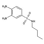 3,4-Diamino-N-butyl-benzenesulfonamide