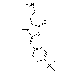 3-(2-Amino-ethyl)-5-(4-tert-butyl-benzylidene)-thiazolidine-2,4-dione