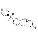 2-(3-bromophenoxy)-5-(morpholin-4-ylsulfonyl)aniline