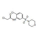 2-Chloro-N-[2-chloro-5-(morpholinosulfonyl)phenyl]acetamide