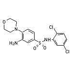 3-Amino-N-(2,5-dichloro-phenyl)-4-morpholin-4-yl-benzenesulfonamide