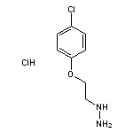 [2-(4-chlorophenoxy)ethyl]hydrazine hydrochloride