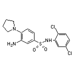 3-Amino-N-(2,5-dichloro-phenyl)-4-pyrrolidin-1-yl-benzenesulfonamide