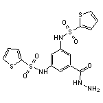 benzoic acid, 3,5-bis[(2-thienylsulfonyl)amino]-, hydrazide