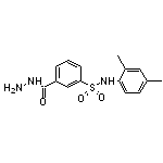 N-(2,4-Dimethyl-phenyl)-3-hydrazinocarbonyl-benzenesulfonamide