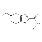 5-ethyl-4,5,6,7-tetrahydro-1-benzothiophene-2-carbohydrazide