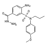 2-Amino-5-hydrazinocarbonyl-N-(4-methoxy-phenyl)-N-propyl-benzenesulfonamide