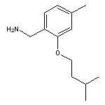 [4-methyl-2-(3-methylbutoxy)phenyl]methanamine