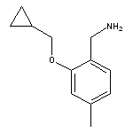 [2-(cyclopropylmethoxy)-4-methylphenyl]methanamine