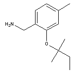 {4-methyl-2-[(2-methylbutan-2-yl)oxy]phenyl}methanamine