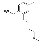 [2-(3-methoxypropoxy)-4-methylphenyl]methanamine