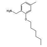 [2-(hexyloxy)-4-methylphenyl]methanamine