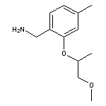 {2-[(1-methoxypropan-2-yl)oxy]-4-methylphenyl}methanamine