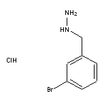 [(3-bromophenyl)methyl]hydrazine hydrochloride