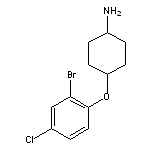 4-(2-bromo-4-chlorophenoxy)cyclohexan-1-amine