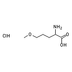 2-amino-5-methoxypentanoic acid hydrochloride