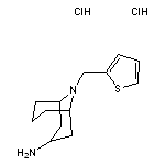 9-(thiophen-2-ylmethyl)-9-azabicyclo[3.3.1]nonan-3-amine dihydrochloride