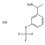 1-[3-(trifluoromethoxy)phenyl]ethan-1-amine hydrochloride