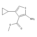 methyl 2-amino-4-cyclopropylthiophene-3-carboxylate