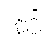 2-(propan-2-yl)-5H,6H,7H,8H-[1,2,4]triazolo[1,5-a]pyridin-8-amine