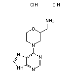 [4-(9H-purin-6-yl)morpholin-2-yl]methanamine dihydrochloride