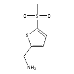 (5-methanesulfonylthiophen-2-yl)methanamine