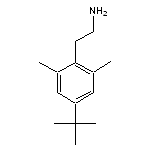 2-(4-tert-butyl-2,6-dimethylphenyl)ethanamine