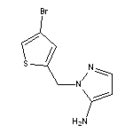 1-[(4-bromothien-2-yl)methyl]-1H-pyrazol-5-amine