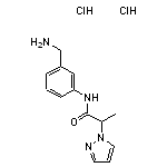 N-[3-(aminomethyl)phenyl]-2-(1H-pyrazol-1-yl)propanamide dihydrochloride